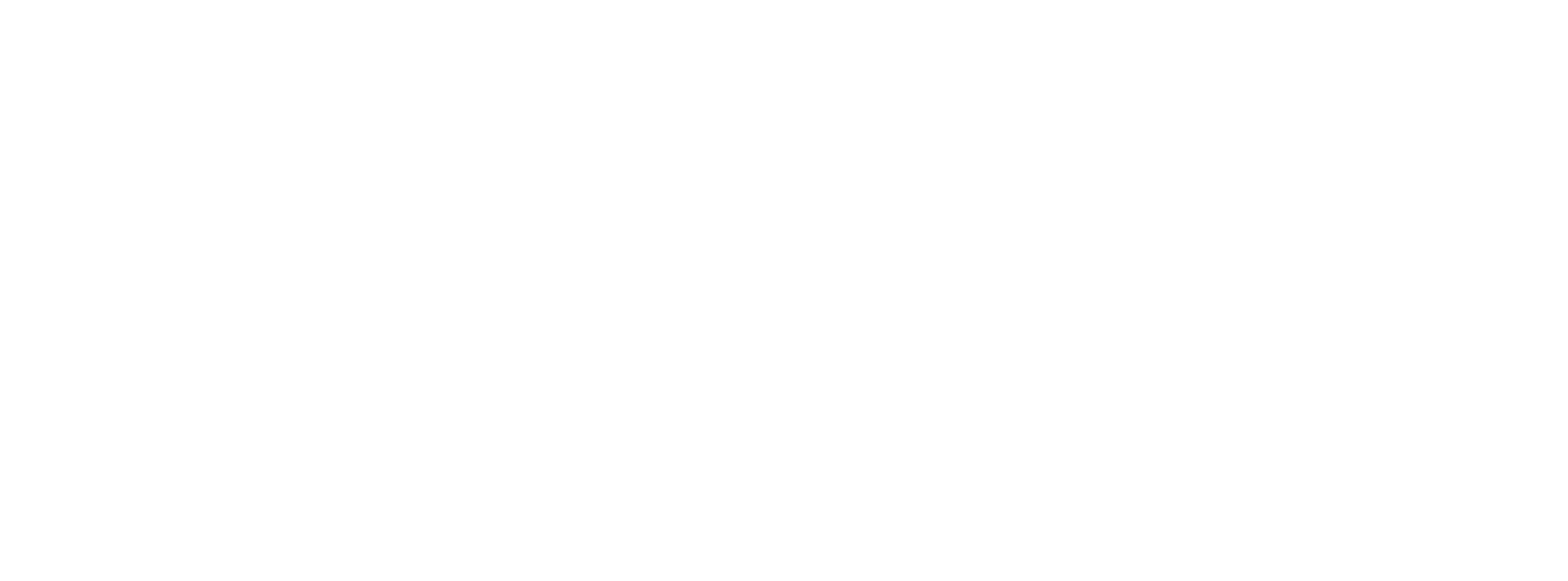 Lions Trading Academy logo